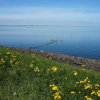 Отель Neat Bungalow with Garden And Terrace, Only 19km. From Hoorn, фото 15
