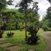 Отель Tagaytay Summer House, фото 7