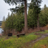 Отель 97MF - Lakeside - Dock - BBQ - Pets Ok - Sleeps 6, фото 31