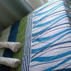 Отель Sithonia Suite, Shore Residences Tower C near MOA, фото 1