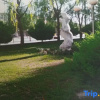 Отель Guazhou Hotel, фото 7