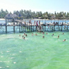 Отель Paradise Beach Resort, фото 4