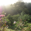 Отель Valley View Bed & Breakfast, фото 19