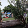 Отель Turfan Hotel and Tigger Park, фото 14