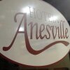 Отель Anesville, фото 16