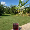 Отель Mandalin Glamping, фото 5