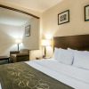 Отель Comfort Suites Elgin, фото 5