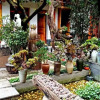 Отель Xu Mi  Inn, фото 3