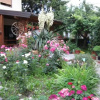 Отель Bravo Guest House, фото 18