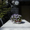 Отель Urban Residence Florapark, фото 9