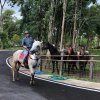 Отель Ruean Racha Resort, фото 14