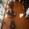 Отель Baoba Breeze Bed & Breakfast, фото 17