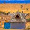 Отель Amanya Zebra 1-bed Wigwam in Amboseli, фото 20