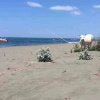Отель Biser Ulcinj, фото 11