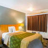 Отель Econo Lodge South Holland, фото 4