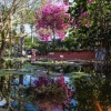 Отель Casa Alegre 01, фото 11
