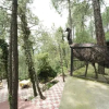 Отель Pine Drive Resort, фото 21