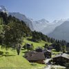 Отель Chalet Erika, фото 4