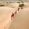 Отель Rajwada Desert Camp by Park Tree, фото 26