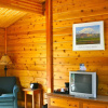 Отель Denali Cabins, фото 2