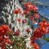 Отель Riad Oued Ramis, фото 27