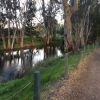 Отель Greenways Holiday Units, фото 7