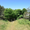 Отель Beautiful Dune Villa With Thatched Roof On Ameland 800 Meters From The Beach, фото 21