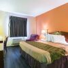 Отель Econo Lodge Inn & Suites, фото 5