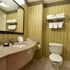 Отель Hampton Inn & Suites by Hilton Petoskey, фото 9