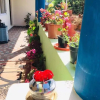 Отель Nakshatra Guest house, фото 3