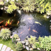 Отель Riverside Impression Villa, фото 26