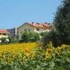 Отель Grazioso Appartamento Panoramico, фото 1