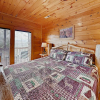 Отель New Listing! Dollywood W/ Private Hot Tub 4 Bedroom Cabin, фото 10