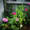 Отель Fleeting Time, фото 12