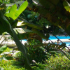 Отель Selva Color Forest & Beach Ecolodge, фото 16