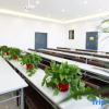 Отель Green Tree Inn Dongtai Huiyang Road Guofu, фото 32