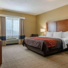 Отель Comfort Inn DFW North-Irving, фото 4