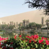 Отель Hostal Huacachina Ica, фото 15