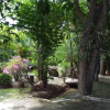 Отель Suwan Guesthouse & Resort, фото 22