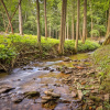 Отель Gingershack Farms, фото 20