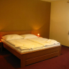 Отель Pension U Všech Čertů, фото 5