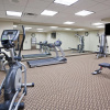 Отель Holiday Inn Express Hotel & Suites Deming Mimbres Valley, an IHG Hotel, фото 13
