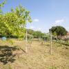 Отель Villa Ciraldo in Monferrato with garden, фото 15