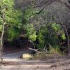 Отель The Postcard Gir Wildlife Sanctuary, фото 20