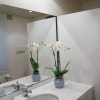 Отель Trifora apartment, фото 6