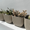 Отель Impeccable Newly Renovated Studio in Larnaca, фото 4