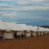 Отель Royal Desert Camp, фото 1