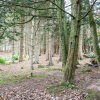 Отель Nutkin Lodge, фото 9