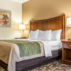 Отель Comfort Inn & Suites, фото 50