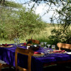 Отель Ikoma tented Camp, фото 10